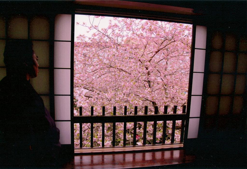 Tabi No Yado Satsuki Hotel Hita Bagian luar foto