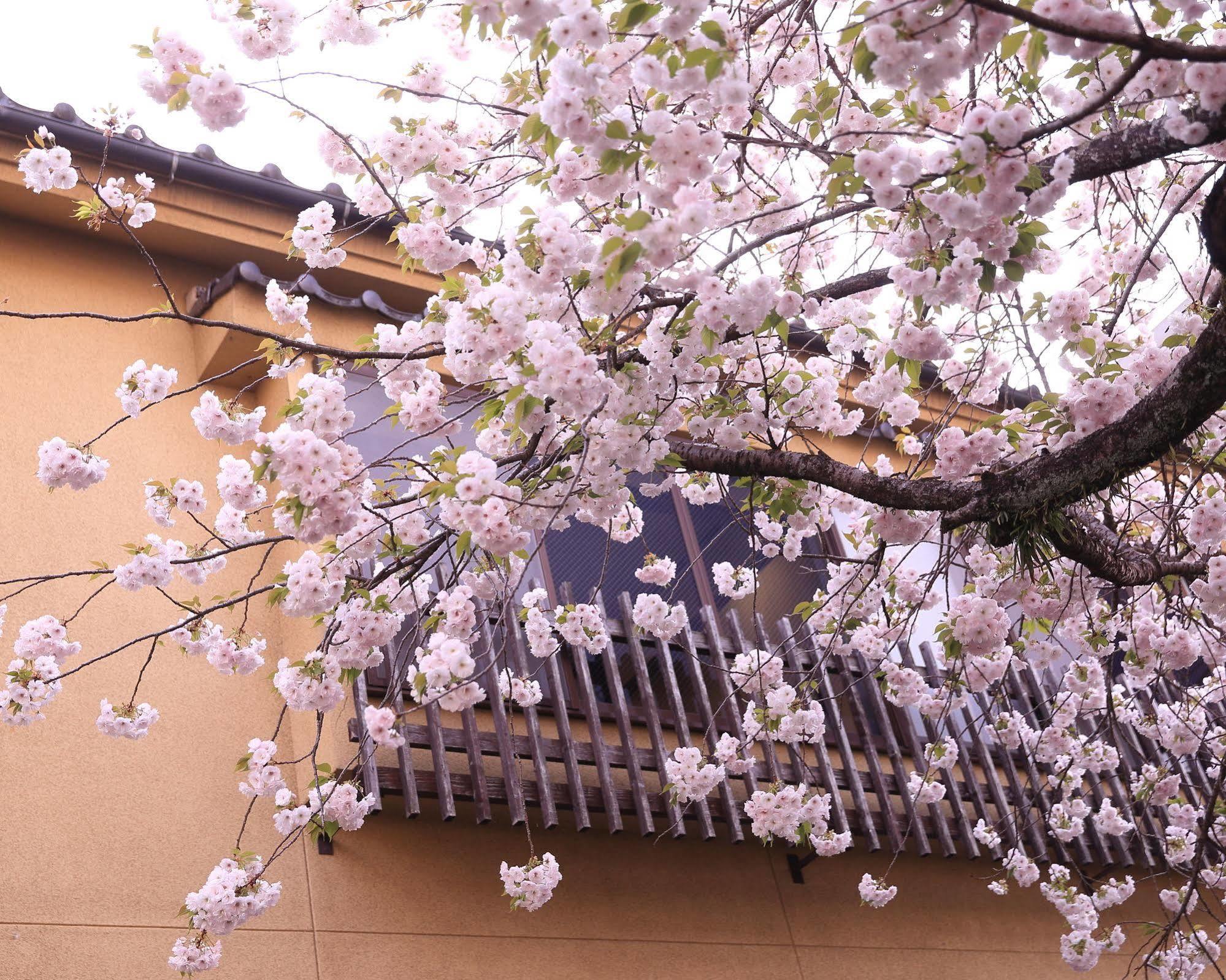 Tabi No Yado Satsuki Hotel Hita Bagian luar foto