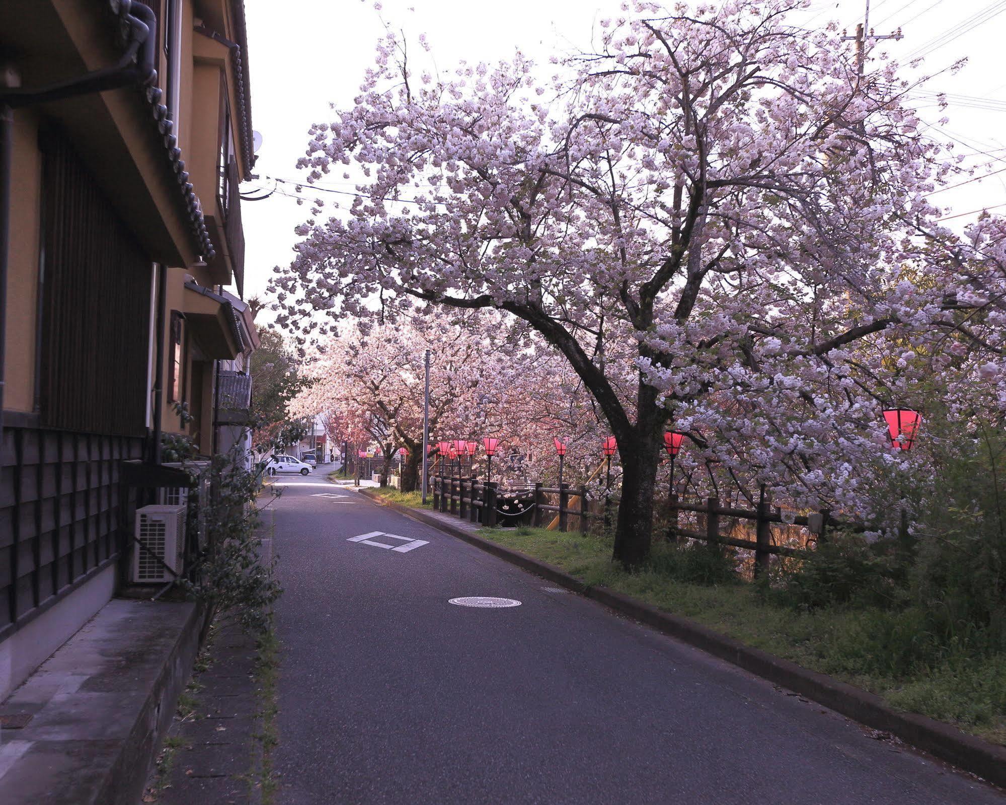 Tabi No Yado Satsuki Hotel Hita Bagian luar foto