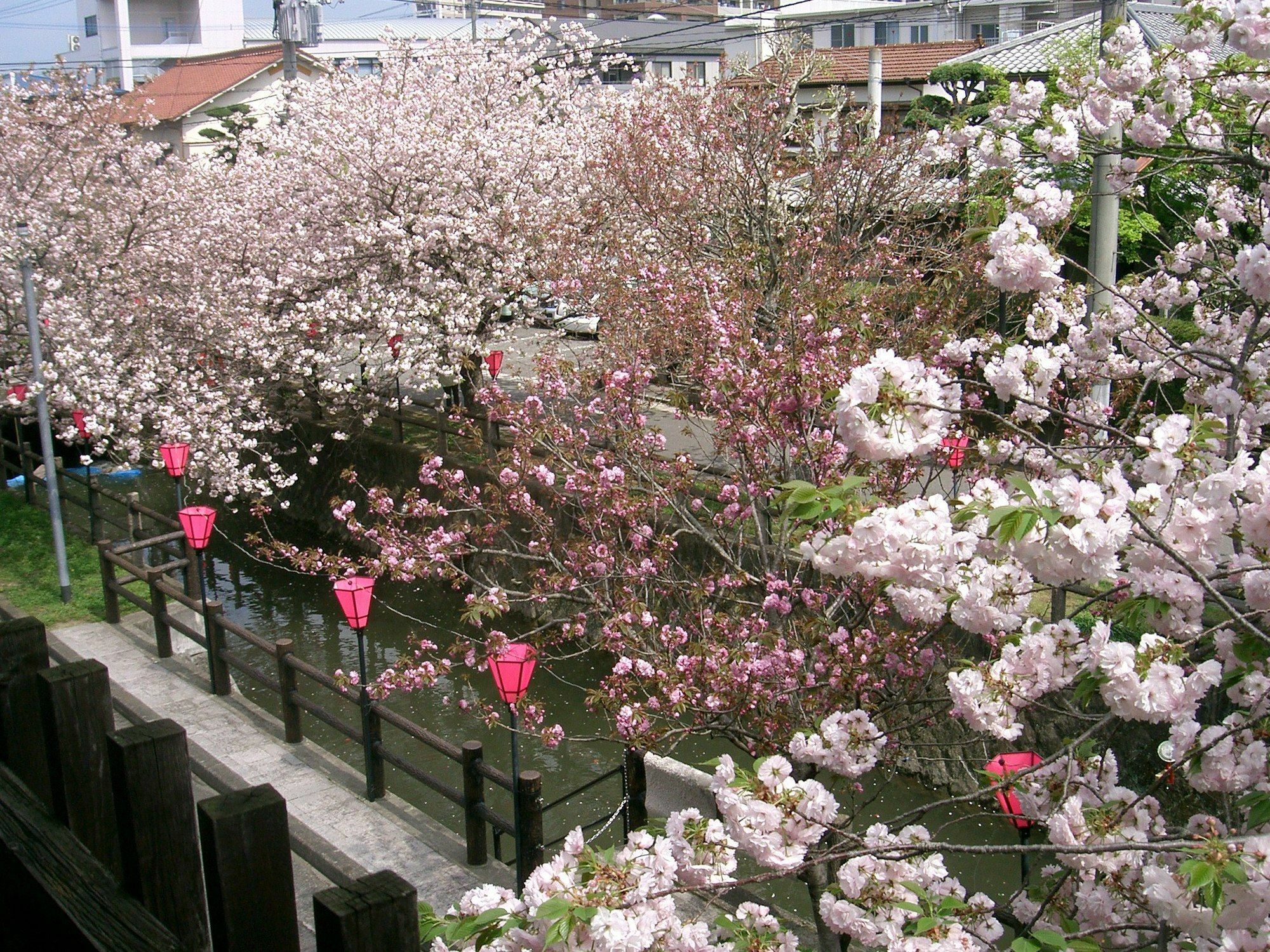 Tabi No Yado Satsuki Hotel Hita Bagian luar foto